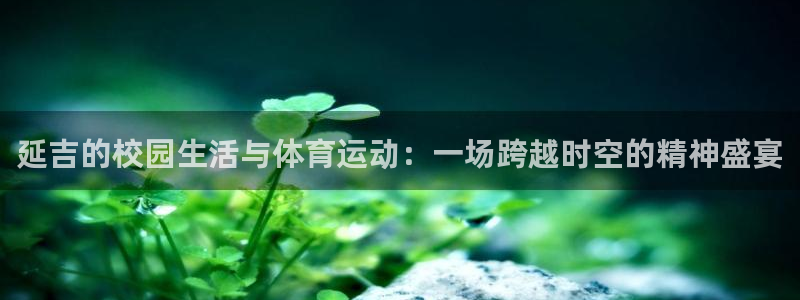 上海五星体育在线直播高清：延吉的校园生活与体育运动：一场跨越时空的精神盛宴