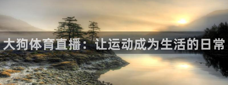 五星体育 在线观看：大狗体育直播：让运动成为生活的日常