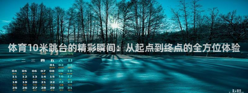 2024f1巴西大奖赛五星体育：体育10米跳台的精彩瞬间：从起点到终点的全方位体验