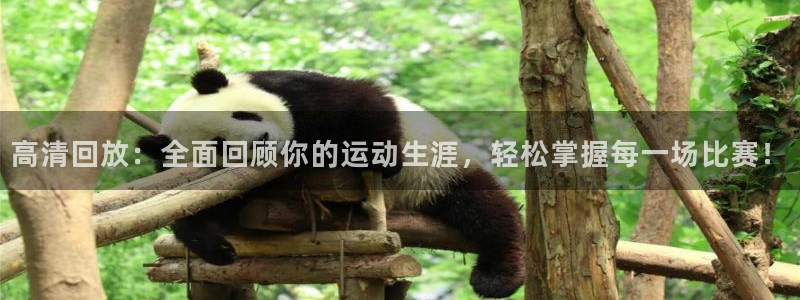 五星体育直播在线直播：高清回放：全面回顾你的运动生涯，轻松掌握每一场比赛！