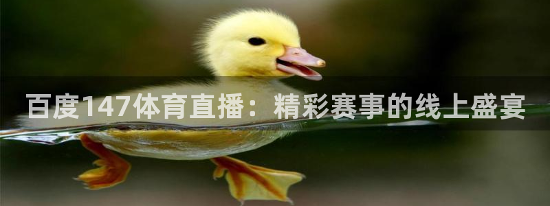 2010年五星体育：百度147体育直播：精彩赛事的线上盛宴