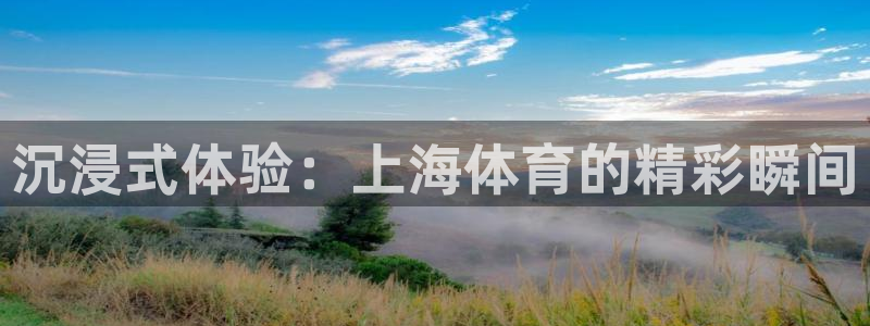五星体育马晓薇：沉浸式体验：上海体育的精彩瞬间